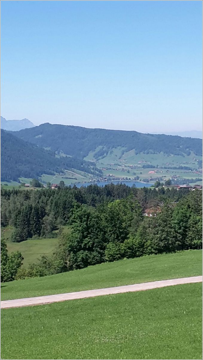 IMG-20170611-WA0003